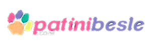 patinibesle.com