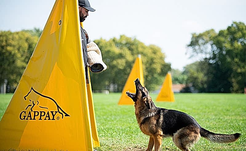 Igp ( Koruma Sporu&nbsp;)