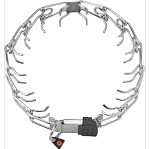 Köpek Eğitim tasması