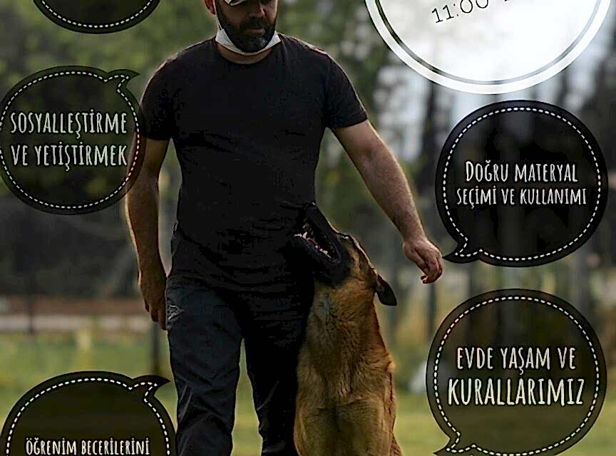 13 Kasım 2022 Cem Anbak Bobyland Workshop