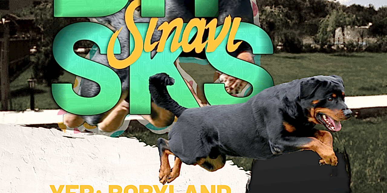 ROTTDER SKS BH SINAVI