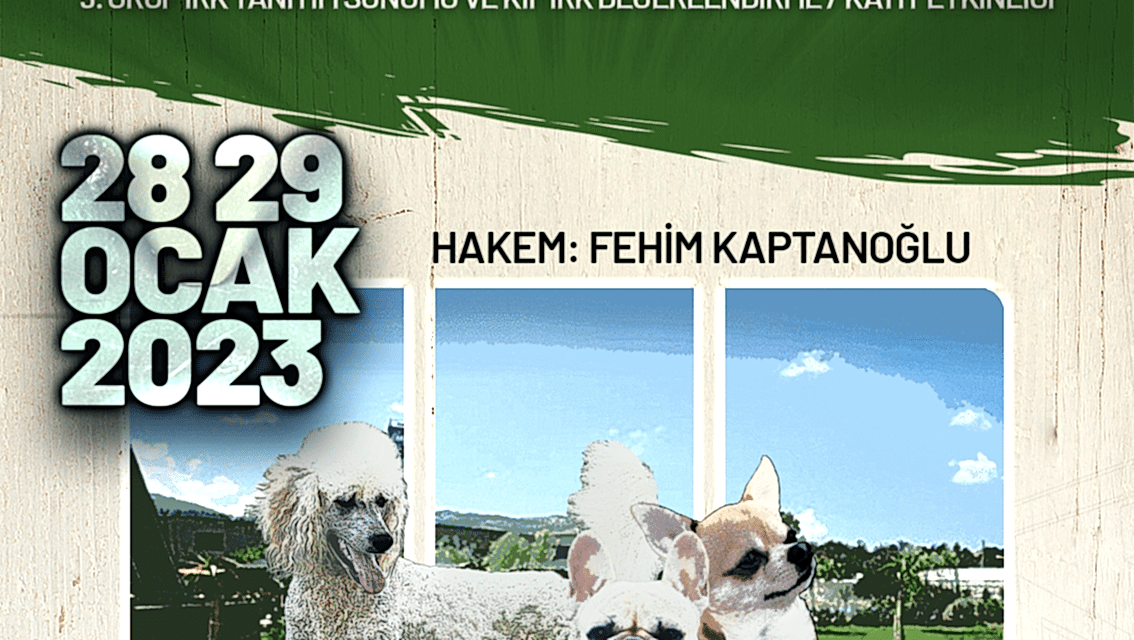 9. GRUP KAYIT VE IRK DEĞERLENDİRME ETKİNLİĞİ